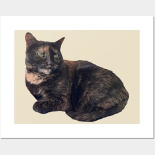 Tortie Cat Posters and Art